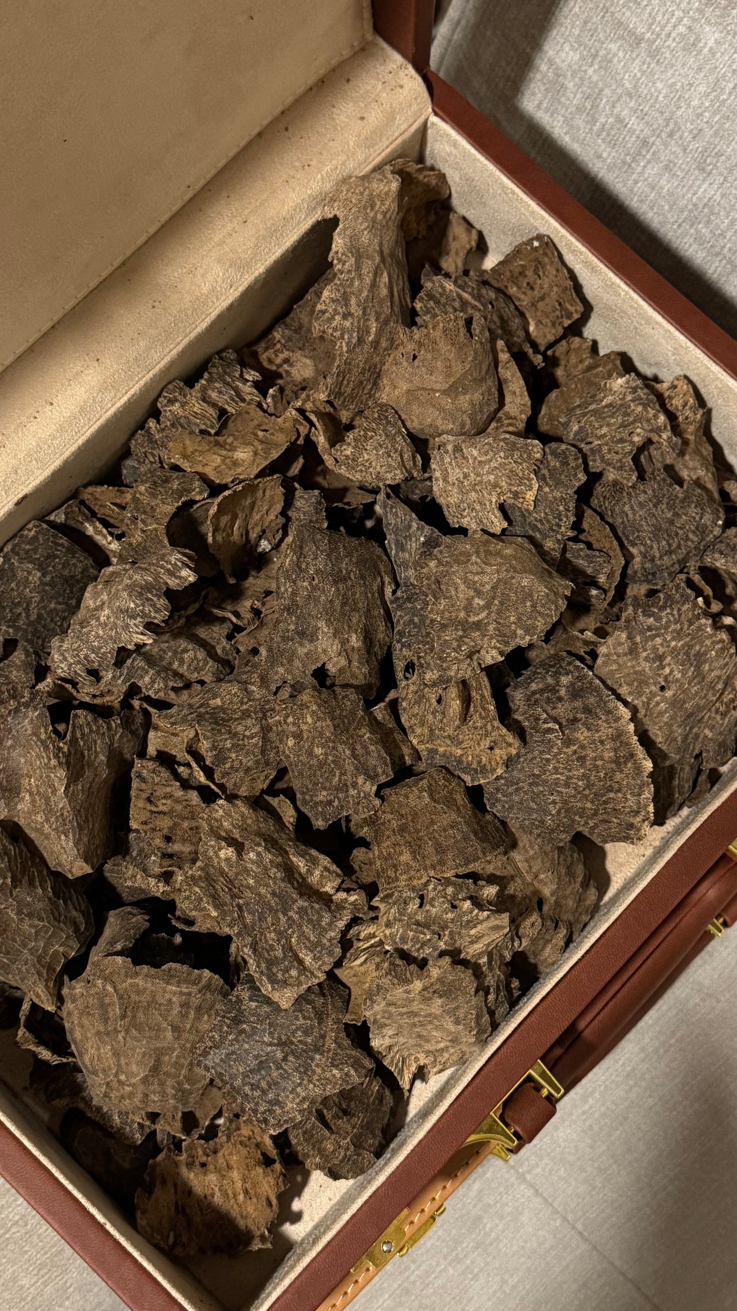 Khashab Aloud - Jar Cambodia VIP