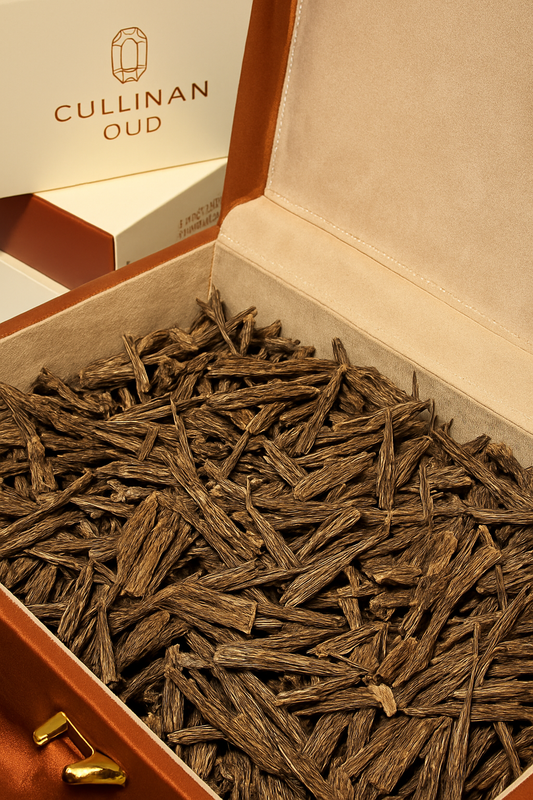 Khashab Aloud - Syufi VIP